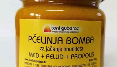Pčelinja bomba